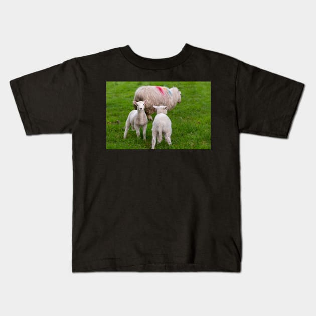 Sheep Kids T-Shirt by jasminewang